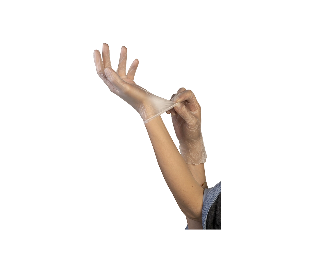 Gant vinyle non poudré taille S - x100