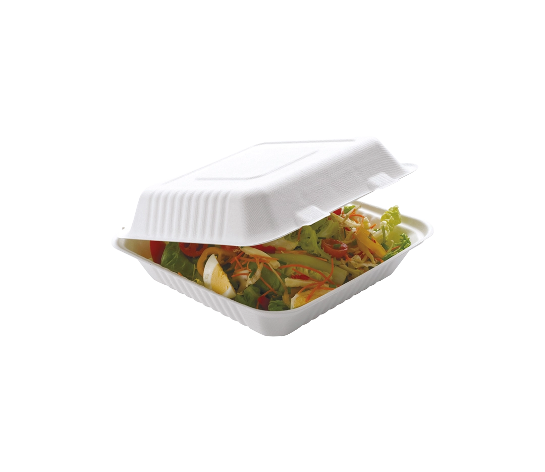 Boîte Repas Bagasse 229x229mm x50
