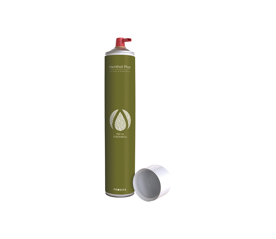 Désodorisant Butane Menthol - 750 ml