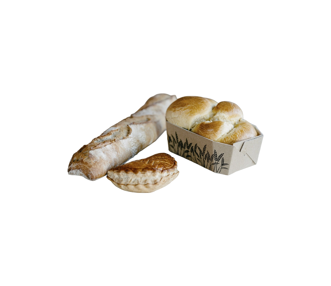 Barquette de cuisson salamandre 175x110x60 - x100