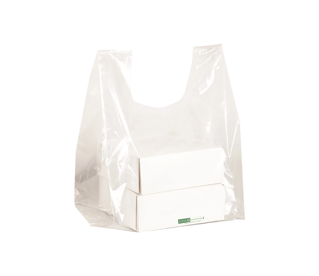 Sac transparent 300x550mm - x100